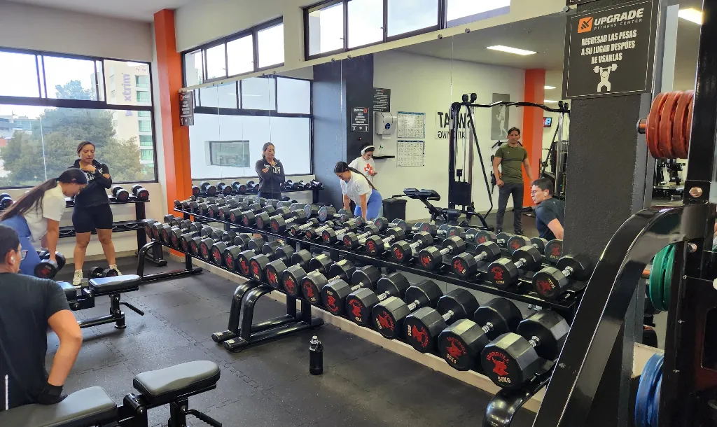 Zona de mancuernas junto al ventanal en Upgrade Fitness Center